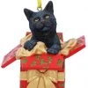 Nemesis Now Lisa Parker Present Cat Hanging Ornament All Homeware