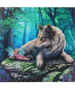 Something Different Fairies Lisa Parker Fairy Stories Light Up Picture