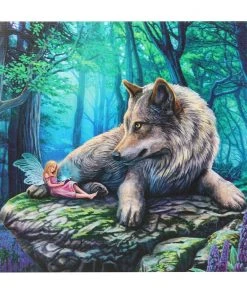 Something Different Fairies Lisa Parker Fairy Stories Light Up Picture