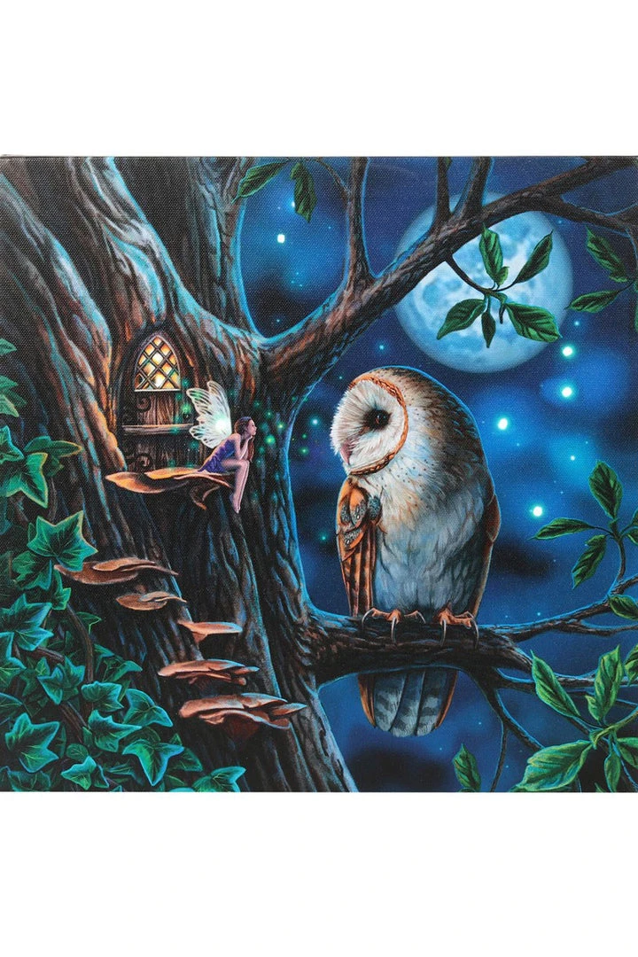 Something Different Lisa Parker Fairy Tales Light Up Picture 3 Something Different Lisa Parker Fairy Tales Light Up Picture