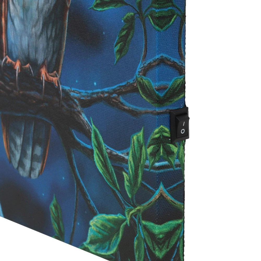 Something Different Lisa Parker Fairy Tales Light Up Picture 5 Something Different Lisa Parker Fairy Tales Light Up Picture