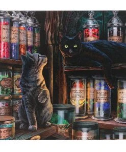 Something Different Lisa Parker Magical Emporium Light Up Picture