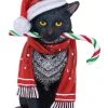 Nemesis Now Lisa Parker Candy Cane Cat Hanging Ornament All Homeware 1 Nemesis Now Lisa Parker Candy Cane Cat Hanging Ornament All Homeware