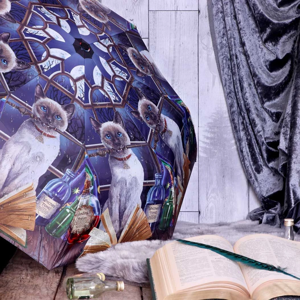 Nemesis Now All Steampunk Accessories Lisa Parker Hocus Pocus Umbrella 4 Nemesis Now All Steampunk Accessories Lisa Parker Hocus Pocus Umbrella