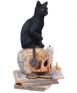 Nemesis Now All Homeware Lisa Parker Spirits Of Salem