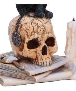 Nemesis Now All Homeware Lisa Parker Spirits Of Salem