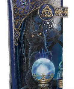 Nemesis Now Lisa Parker The Witches Apprentice Embossed Purse All Bags