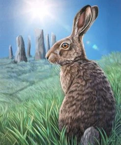 Something Different Sale Lisa Parker Solstice Picture