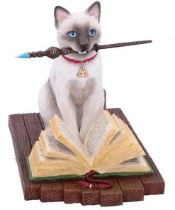 Nemesis Now Lisa Parker Hocus Pocus Figurine