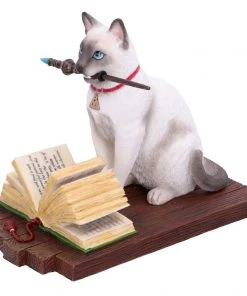 Nemesis Now Lisa Parker Hocus Pocus Figurine