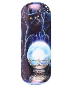 Something Different Lisa Parker Witches Apprentice Glasses Case