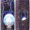 Something Different Lisa Parker Witches Apprentice Glasses Case