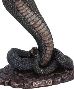 Nemesis Now Medusas Wrath All Homeware