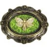 Nemesis Now Steampunk Homeware Moth Macabre