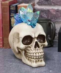 Nemesis Now Steampunk Homeware Crystal Hawk Skull 13 Nemesis Now Steampunk Homeware Crystal Hawk Skull