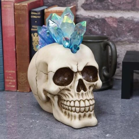 Nemesis Now Steampunk Homeware Crystal Hawk Skull 8 Nemesis Now Steampunk Homeware Crystal Hawk Skull