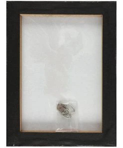 Something Different Alchemy Gothic Nine Lives Of Poe Picture Sale