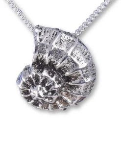 Seventh Sense Ammonite Pendant Silver Steampunk Jewellery