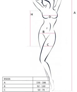 Passion Lingerie Passion BS026 Mesh Dress Black All Ladies Clothing