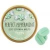 Something Different Toucan Gifts Perfect Peppermint Eco Soy Wax Melts