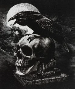 Something Different Gothic Jewellery Alchemy Gothic Poe's Raven Picture