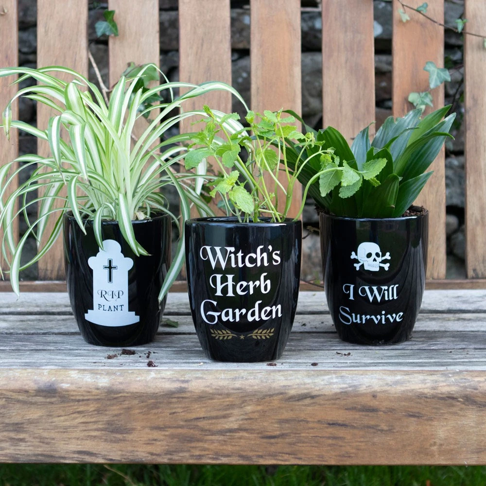 Something Different RIP Plant Gothic Plant Pot 5 Something Different RIP Plant Gothic Plant Pot