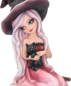 Nemesis Now All Homeware Rosa Witch Figurine
