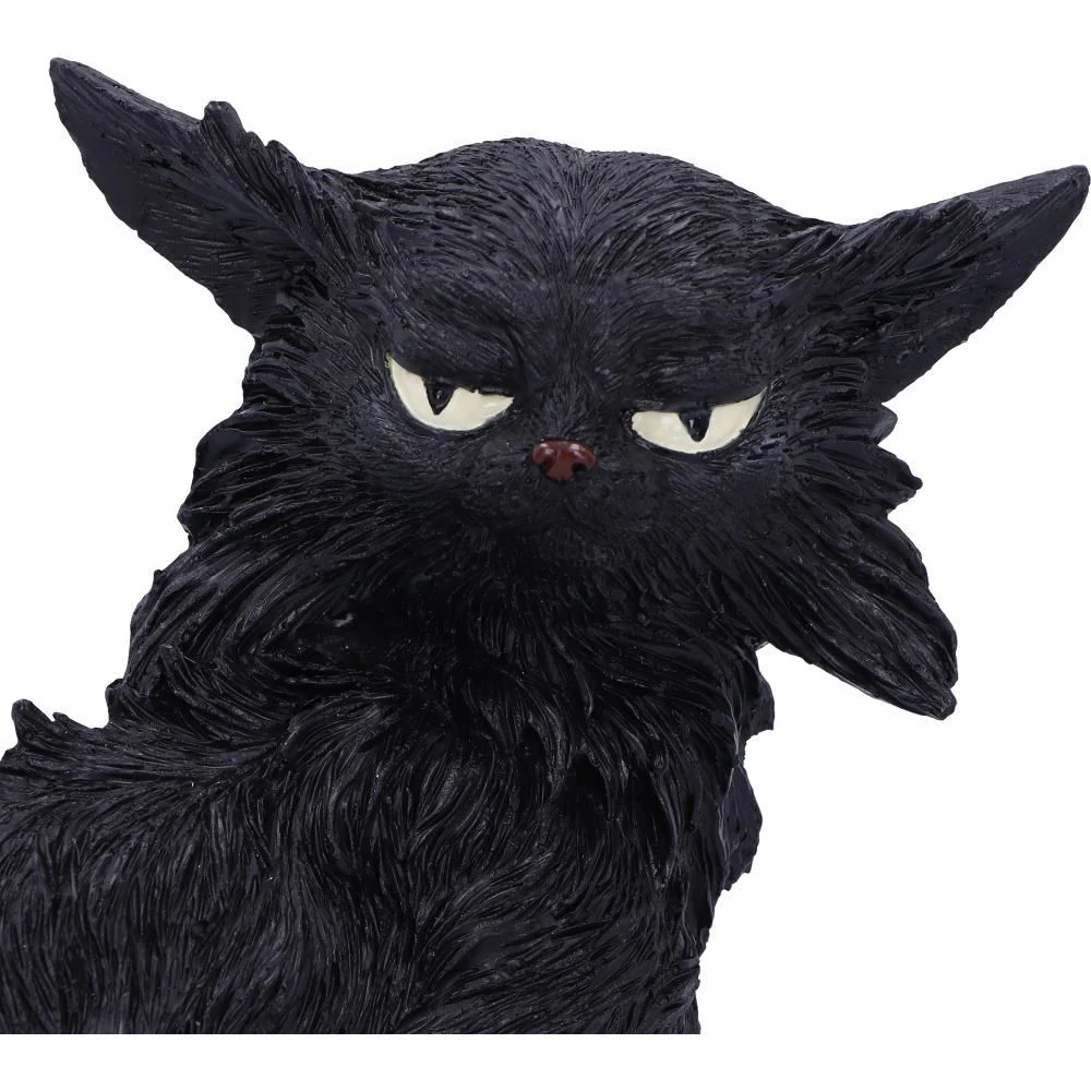 Nemesis Now Salem Witches Cat 7 Nemesis Now Salem Witches Cat