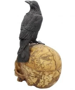 Nemesis Now All Homeware Salems Familiar