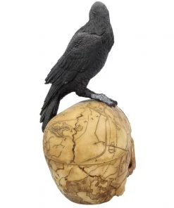 Nemesis Now All Homeware Salems Familiar