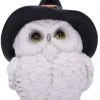 Nemesis Now All Homeware Snowy Spells Owl