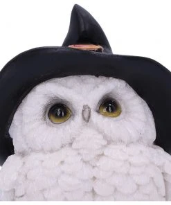 Nemesis Now All Homeware Snowy Spells Owl