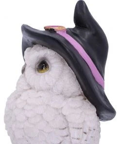 Nemesis Now All Homeware Snowy Spells Owl
