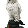 Nemesis Now Soren Owl On Hat