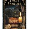 Nemesis Now Lisa Parker Tarot Familiars Cards