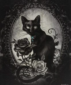 Something Different Alchemy Gothic The Philosopher's Familiar Picture