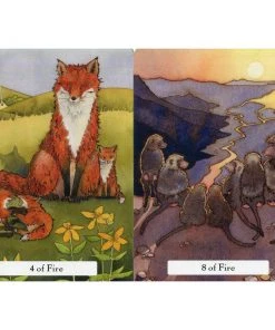 Something Different The Witches Wisdom Tarot Cards And Book