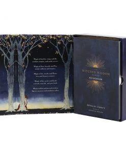 Something Different The Witches Wisdom Tarot Cards And Book