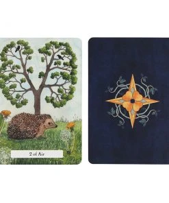 Something Different The Witches Wisdom Tarot Cards And Book