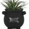 Something Different Garden Triple Moon Cauldron Plant Pot