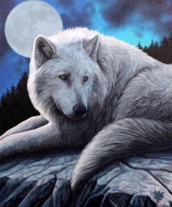 Something Different Lisa Parker Guardian Of The North Picture