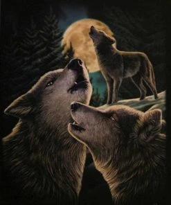 Something Different Lisa Parker Wolf Song Picture
