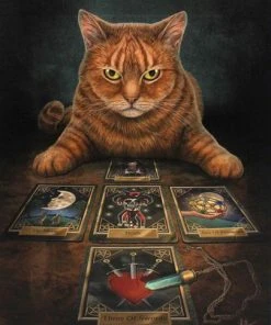 Something Different Lisa Parker The Reader Picture Sale