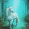 Something Different Sale Anne Stokes Forest Unicorn Picture