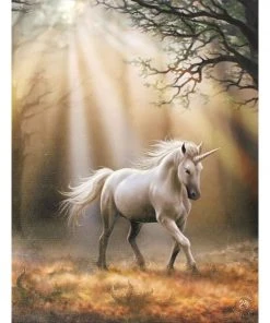 Something Different Anne Stokes Glimpse Unicorn Picture Sale