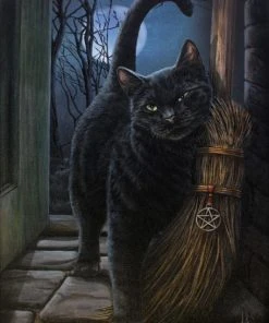 Something Different Lisa Parker Brush With Magick Picture Sale