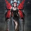 Something Different Anne Stokes Aracnafaria Fairy Picture Sale