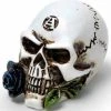 Alchemy Gothic Alchemy Alchemist Skull Miniture