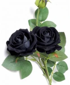 Alchemy Gothic Black Rose Spray