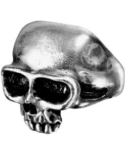 Alchemy Gothic Death Skull Ring R6 Jewellery